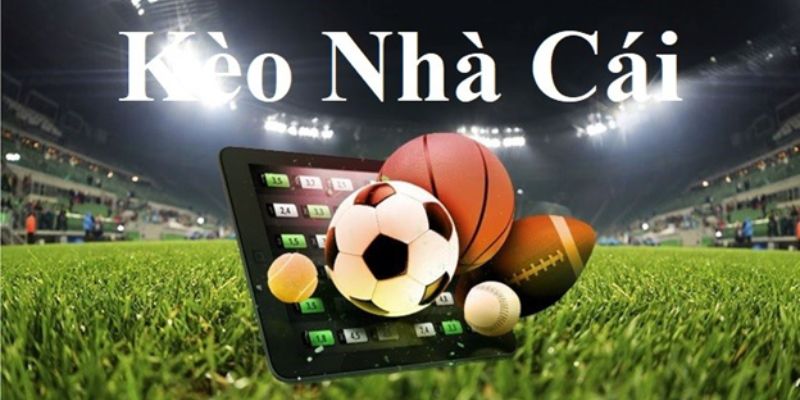 Cung cấp nhiều kèo cược chỉ có tại Neo79 Cung cấp nhiều kèo cược chỉ có tại Neo79