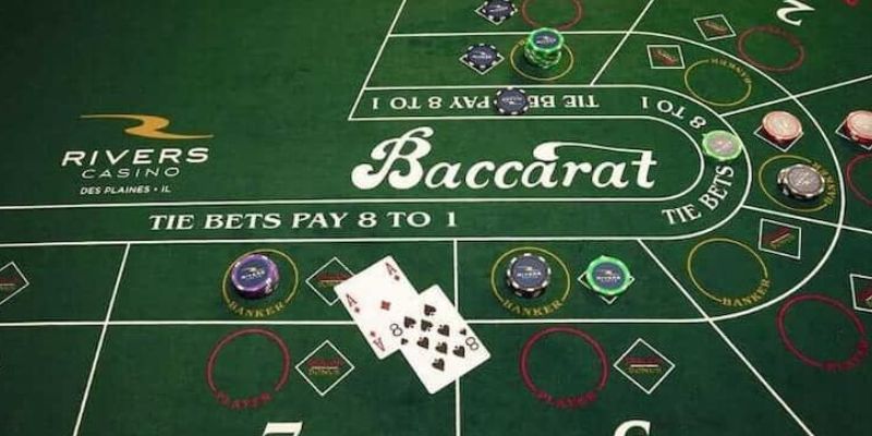 Cách đặt cược tại game bài neo79 được yêu thích Cách đặt cược tại game bài neo79 được yêu thích